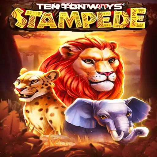 Discover the Exciting World of TenTonWaysStampede